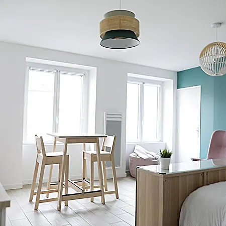 Appartement Magnifique Studio Cosy Refait Entierement A Neuf