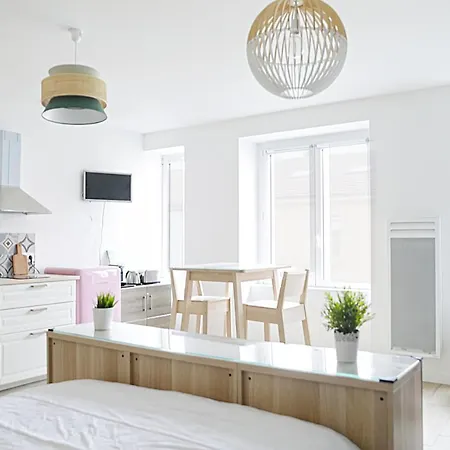 Magnifique Studio Cosy Refait Entierement A Neuf Apartment *